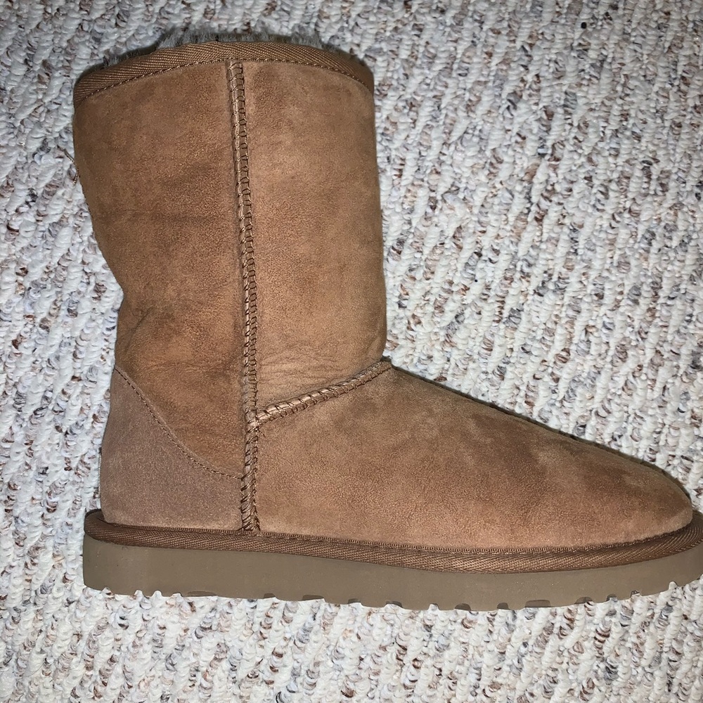 NEW NEVER BEEN WORN CLASSIC SHORT UGG SIZE 6